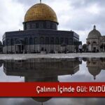 calinin-icinde-gul-kudus-2