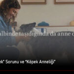 basibos-kopek-ve-kopek-anneligi
